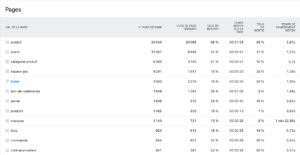 Rapport des visites par pages dans Matomo